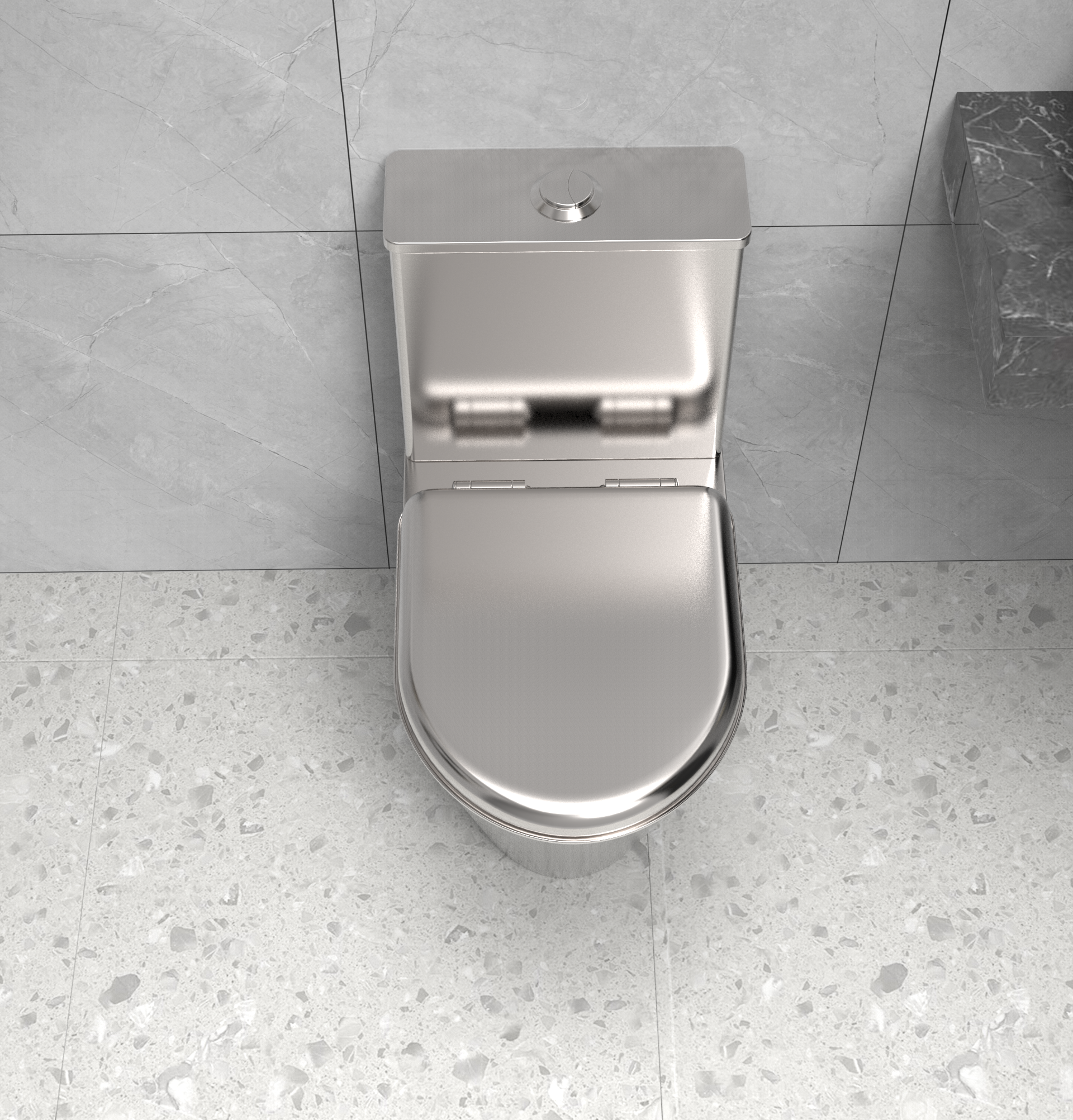 stainless steel toilet