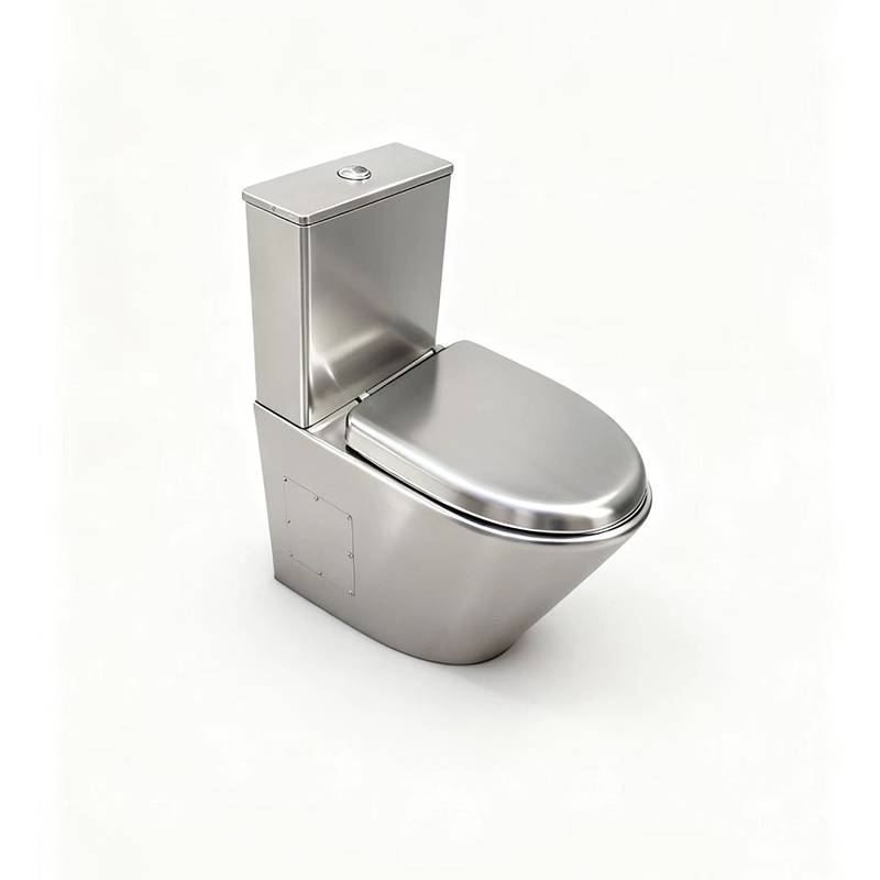 stainless steel toilet